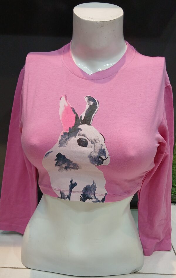 Crop t shirt