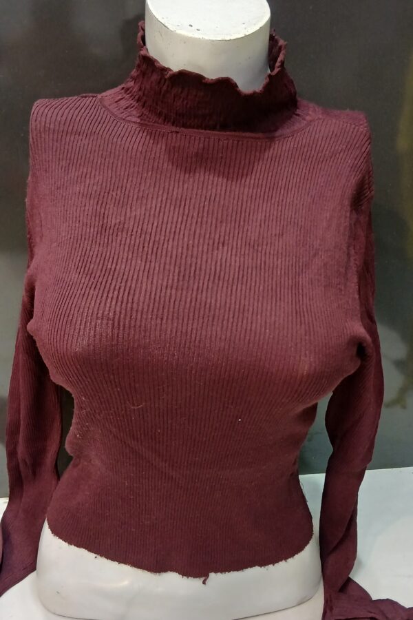 winter top