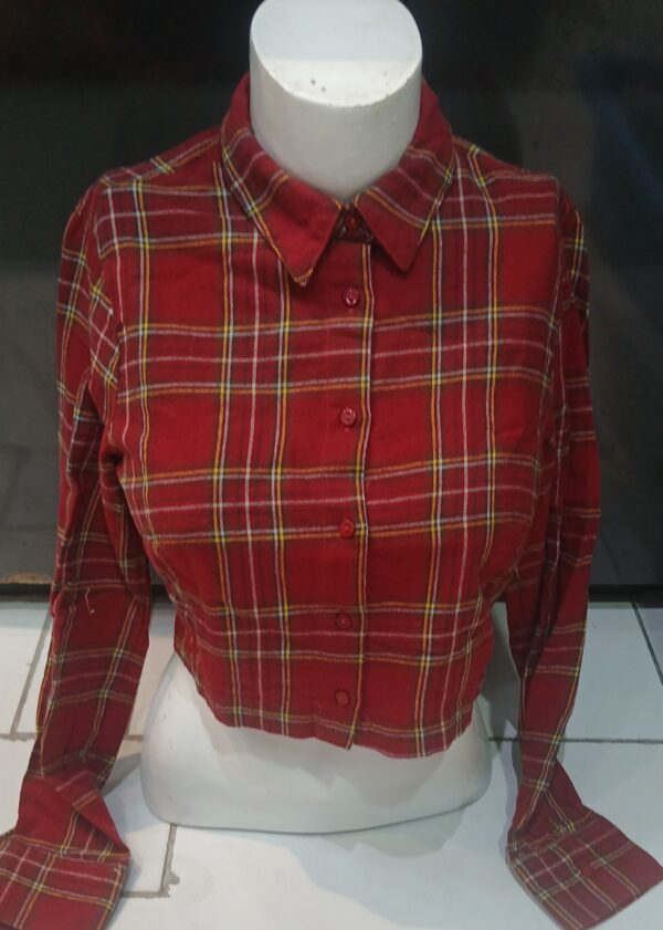 crop shirt